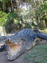 australien - mein ewiger traum16 20070528 1936453265