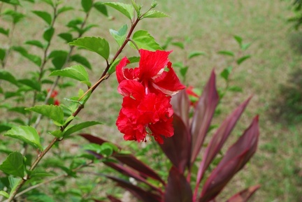 DSC 8400