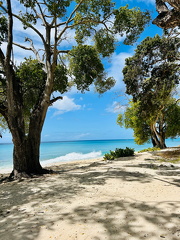 06-Barbados-2025-02-22-120240-0010