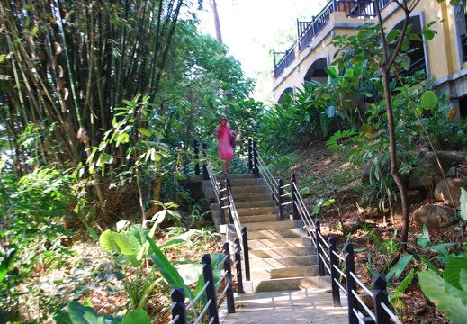 DSC 5753