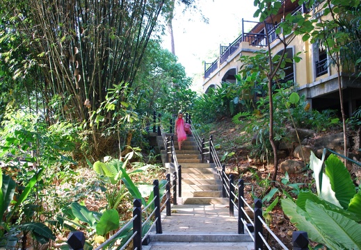 DSC 5754