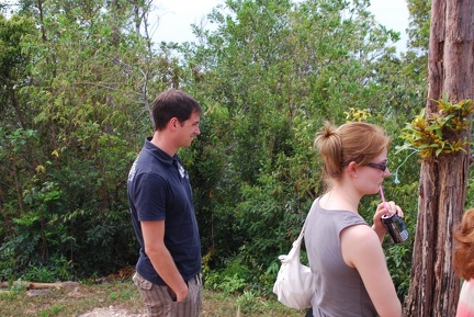 DSC 6419.SafariTour ViewPoint LongBeach