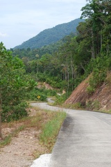 DSC 6426.SafariTour ViewPoint LongBeach
