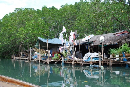 DSC 6444.SafariTour Fischerdorf Salak Khok Mangrovenwald