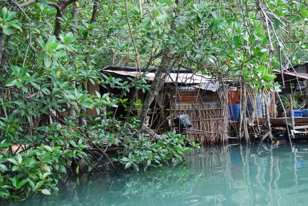 DSC 6446.SafariTour Fischerdorf Salak Khok Mangrovenwald