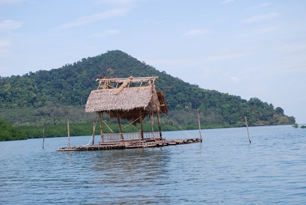 DSC 6456.SafariTour Fischerdorf Salak Khok Mangrovenwald