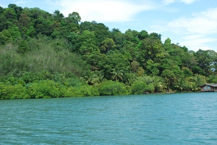 DSC 6467.SafariTour Fischerdorf Salak Khok Mangrovenwald