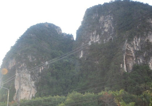 DSC 4263
