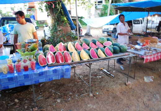 DSC 4309