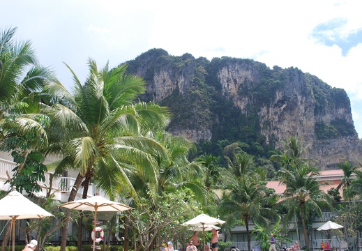 DSC 4459