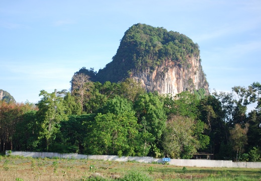 DSC 4613