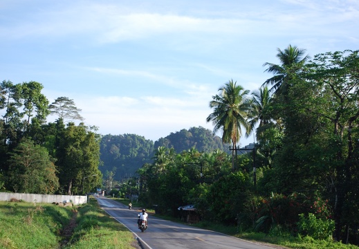 DSC 4615