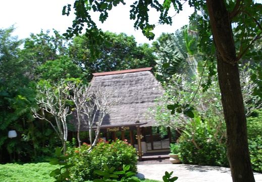 DSC 4787