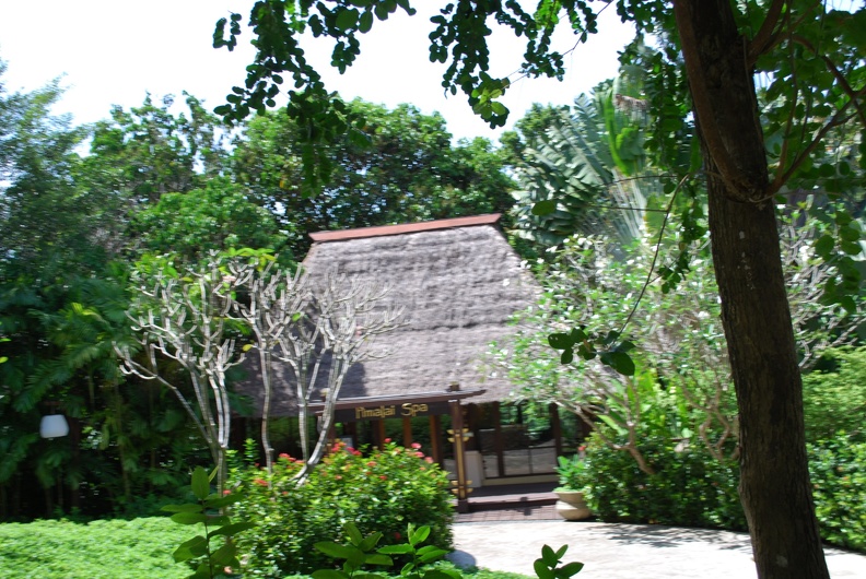 DSC_4787.JPG