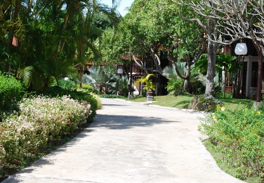 DSC 4808
