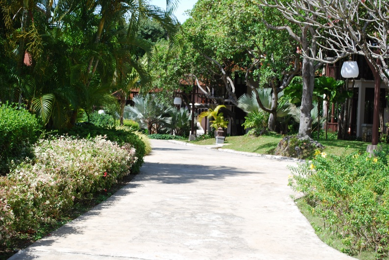 DSC_4808.JPG