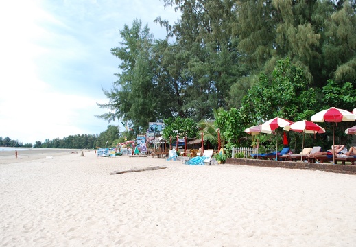DSC 4880