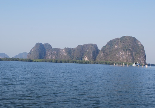 DSC 5447