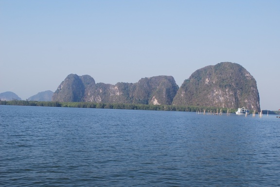 DSC 5447
