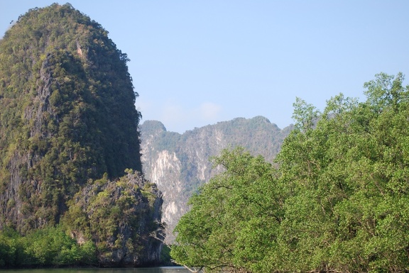 DSC 5453