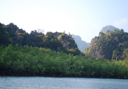 DSC 5454