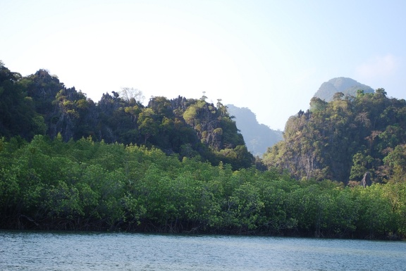 DSC 5454