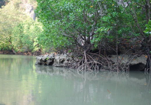 DSC 5455