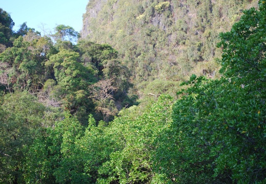 DSC 5456