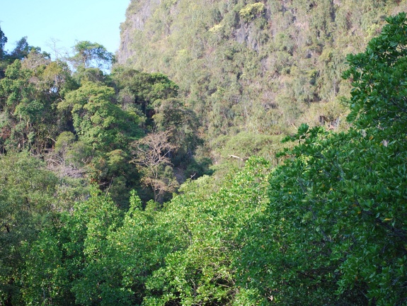 DSC 5456