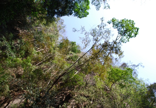 DSC 5493