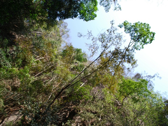 DSC 5493