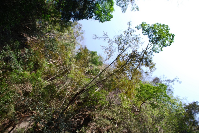 DSC_5493.JPG
