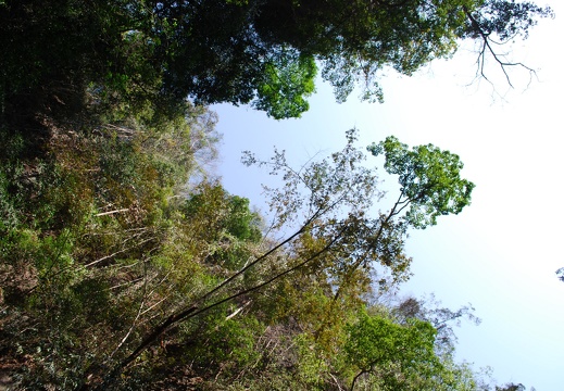 DSC 5494