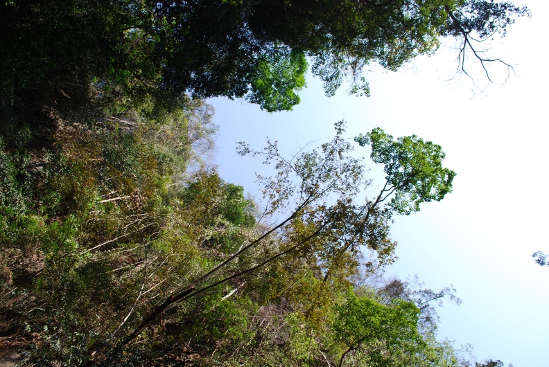 DSC_5494.JPG