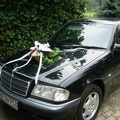 meine oder unsere familie7 20070528 1850795897