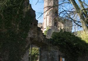 baden wuerttemberg12 20070528 2075553032