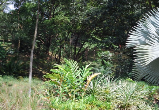DSC 1609