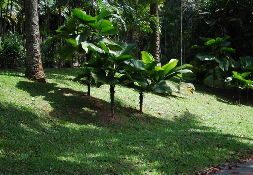 Kuala Lumpur
