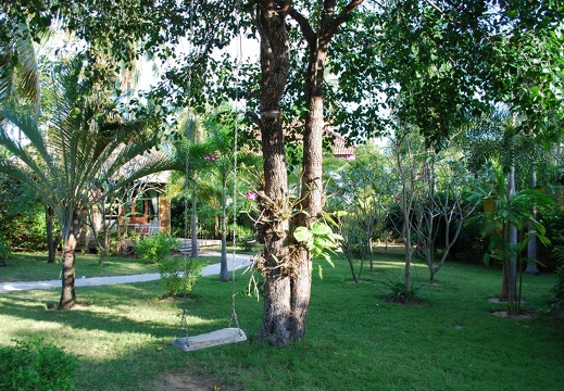 DSC 2124