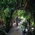 DSC_3975.jpg