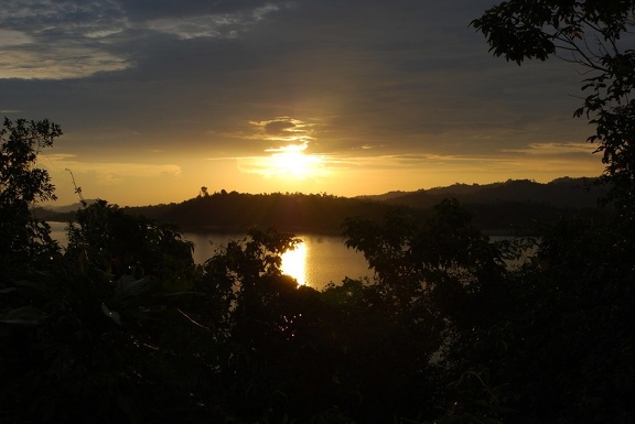 DSC 8008