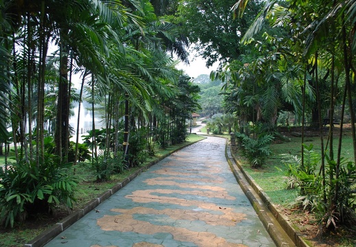 DSC 8741