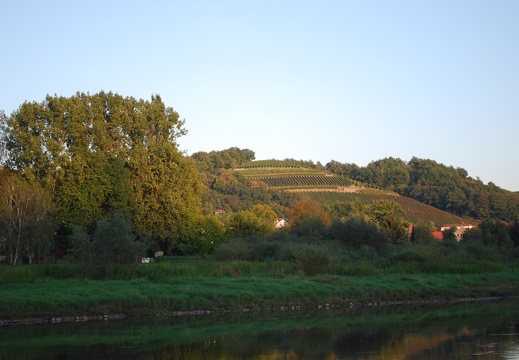 DSC 0974