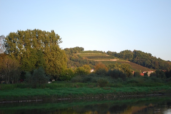 DSC 0974