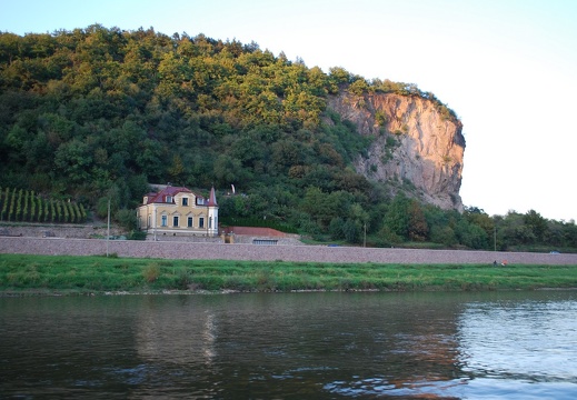 DSC 1007
