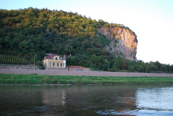 DSC 1007