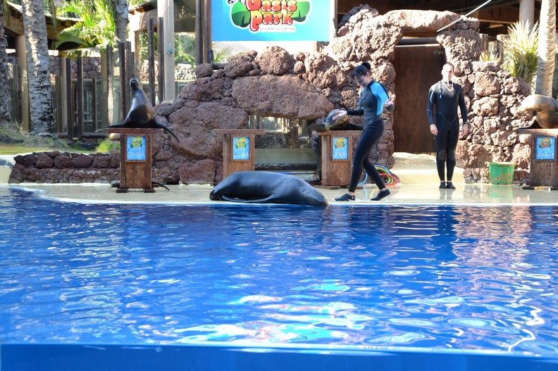 DSC_1335.jpg