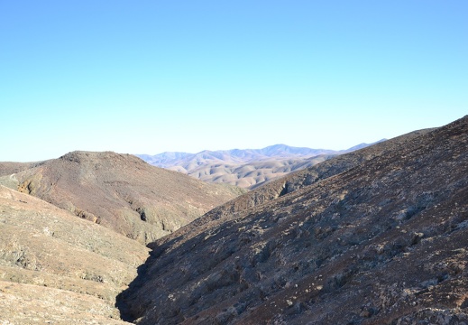 DSC 2460