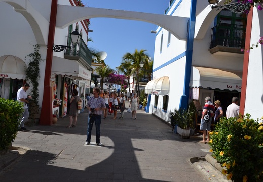 DSC 7017