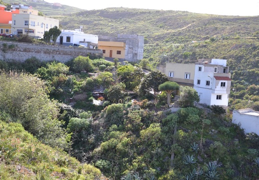 DSC 7545